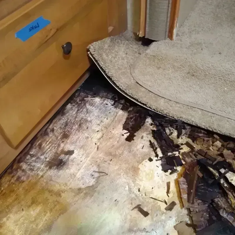 Wood Floor Water Damage in Tigerville, SC